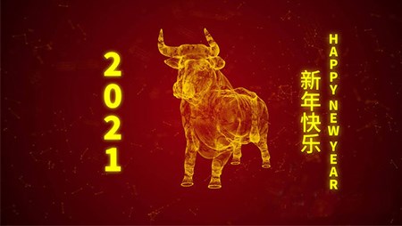 西迪技術(shù)股份有限公司20201年春節(jié)放假通知